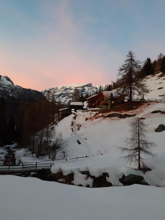 Piccola Residenza Lägenhet Champoluc Exteriör bild