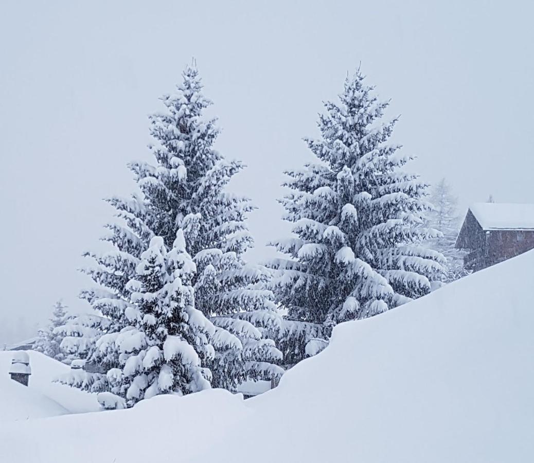Piccola Residenza Lägenhet Champoluc Exteriör bild